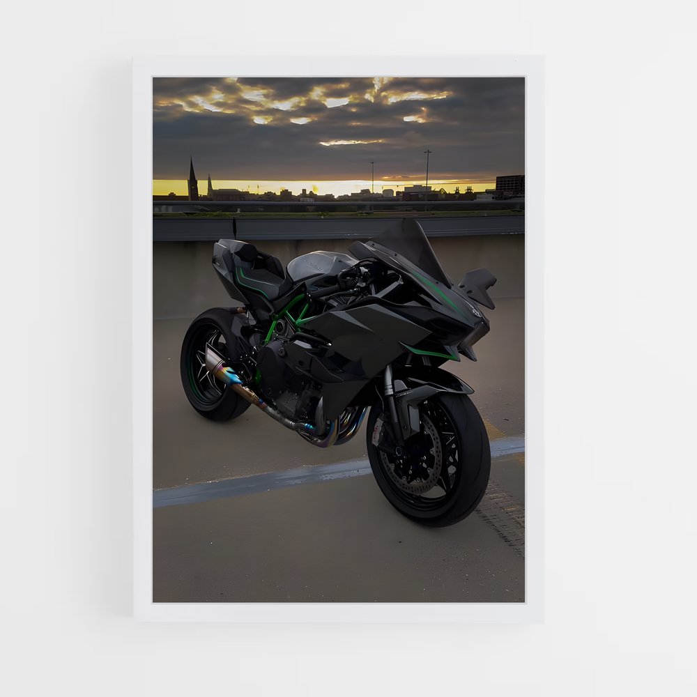 Poster Ninja h mystérieux (vue 3)